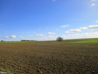 /album/fotogalerie/bildstoff-427-jpg/